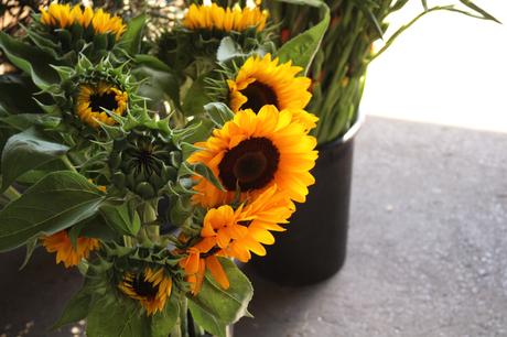 Cityguide : à la découverte de Montréal…