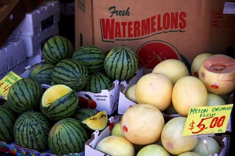 Cityguide : à la découverte de Montréal…