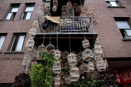 Cityguide : à la découverte de Montréal…