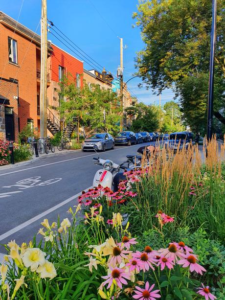 Cityguide : à la découverte de Montréal…