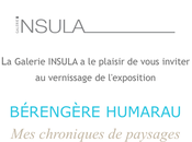 Galerie Insula Bérengère Humarau partir Avril 2023.