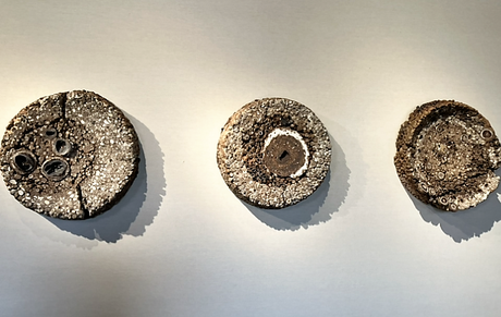 Galerie Capazza à Nançay – en Sologne – Avril 2023.