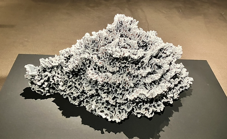 Galerie Capazza à Nançay – en Sologne – Avril 2023.