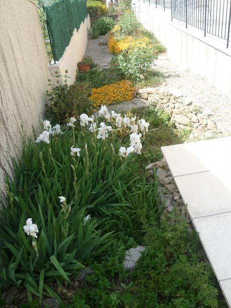 jardin,plantes,fleurs,jardinage,saison,travail