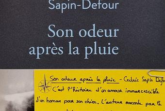 Son odeur après la pluie de Cédric Sapin-Defour et la série Tout