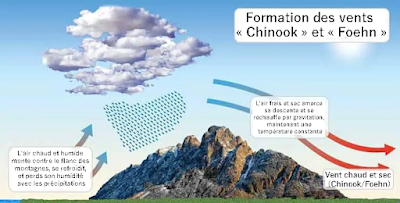 La façon sublime dont la neige disparaît La façon sublime dont la neige disparaît