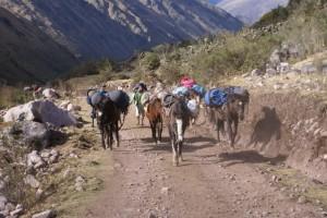 Trek de Lares | Guide 2023 + Mes Conseils | Pérou
