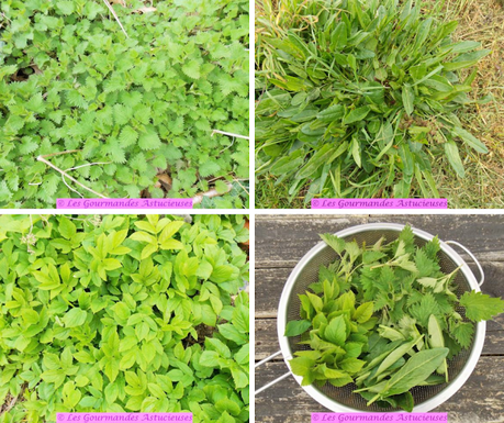 Soupe 100 % plantes sauvages et ses croûtons aux noix (Vegan) Soupe 100 % plantes sauvages et ses croûtons aux noix (Vegan)