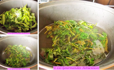 Soupe 100 % plantes sauvages et ses croûtons aux noix (Vegan) Soupe 100 % plantes sauvages et ses croûtons aux noix (Vegan)