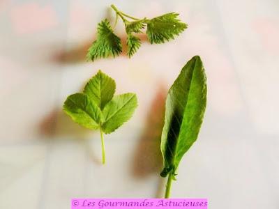 Soupe 100 % plantes sauvages et ses croûtons aux noix (Vegan) Soupe 100 % plantes sauvages et ses croûtons aux noix (Vegan)