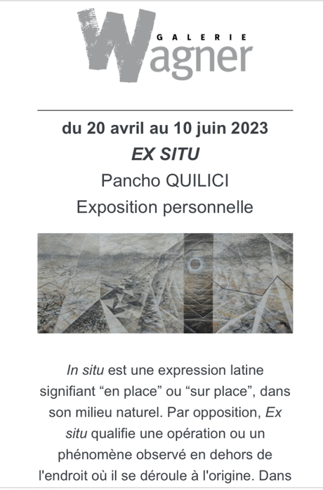 Galerie Wagner « Ex Situ » Pancho Quilici – à partir du 20 Avril 2023.