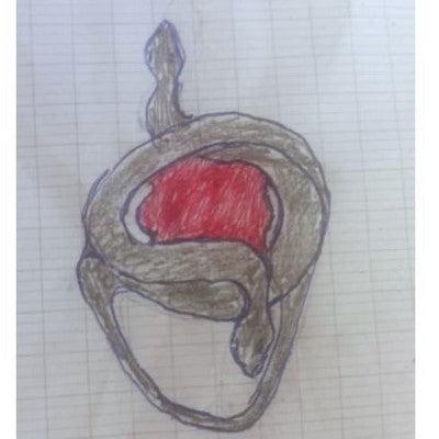 dessin de bague serpent pour projet de confection de bague pour homme