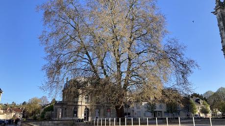 Petit coup d’œil … [7]