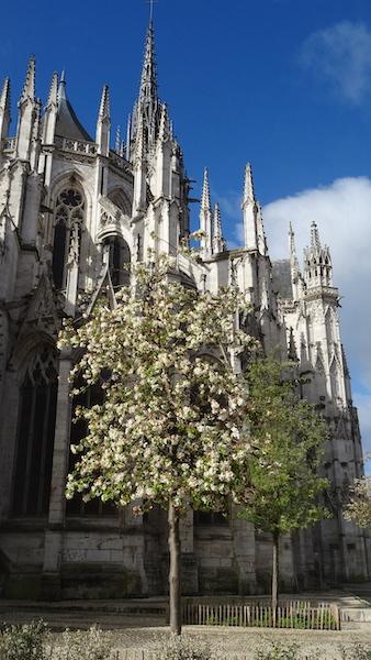 Petit coup d’œil … [7]