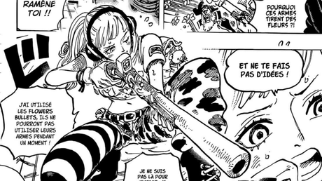 One Piece Chapitre 1080 : Hibari est-elle la fille d’Akainu ?