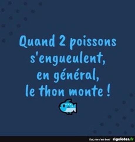 Blagues - un moment de détente