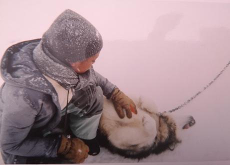 MOOD : Souvenirs du Canada