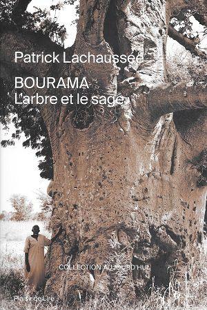 Bourama - L'arbre et le sage, de Patrick Lachaussée