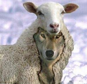 macronisme,conseil constitutionnel,europe,retraite,réforme des retraites,post-démocratie,pass vaccinal