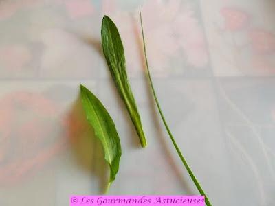 Aster maritime farcie au riz aromatisé (Vegan)