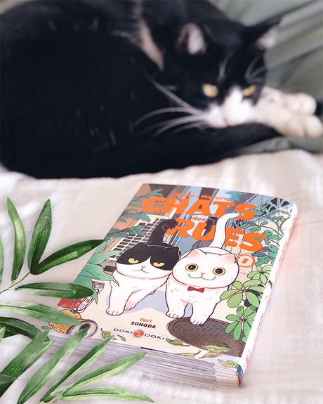 Manga Seinen : Hachi & Maruru Chats des rues Manga Seinen : Hachi & Maruru Chats des rues