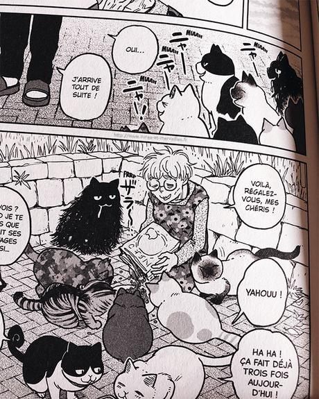 Manga Seinen : Hachi & Maruru Chats des rues Manga Seinen : Hachi & Maruru Chats des rues