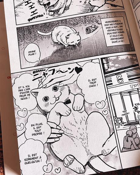 Manga Seinen : Hachi & Maruru Chats des rues Manga Seinen : Hachi & Maruru Chats des rues