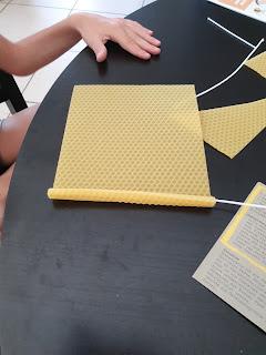 Découverte du thème des abeilles : table de jeu, activités et lectures.