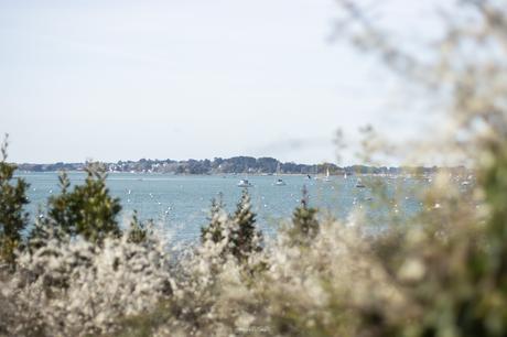 Balade à Arradon, entre mer et fleurs