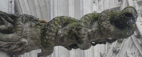 Petit coup d’œil … [8]