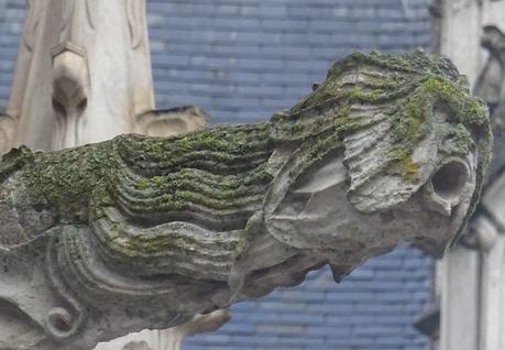 Petit coup d’œil … [8]