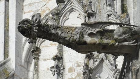 Petit coup d’œil … [8]