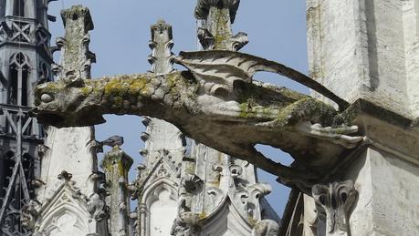 Petit coup d’œil … [8]