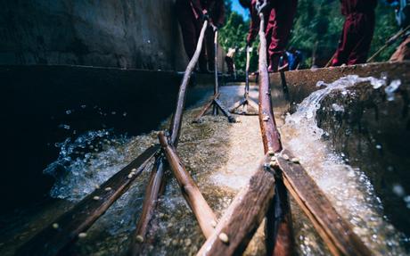 Comment la technologie a-t-elle contribué à démocratiser le commerce du café vert ? Les ouvriers agricoles utilisent des méthodes de traitement lavées pour le café vert.