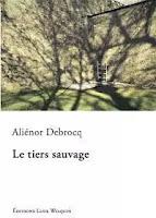 Ici un paysage - Aliénor Debrocq Ici un paysage - Aliénor Debrocq