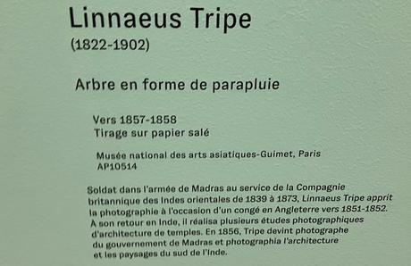 Musée du quai Branly – « Ouvrir l’album du monde » (photographies 1842-1911)