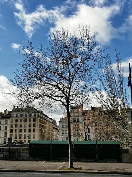 Les Balades Parisiennes de Mitra Etemad