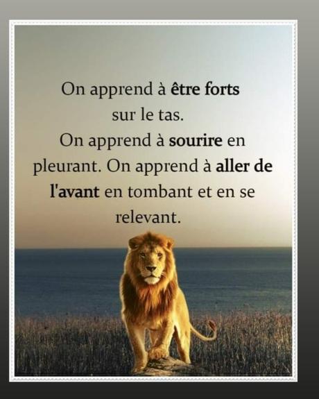 On apprend