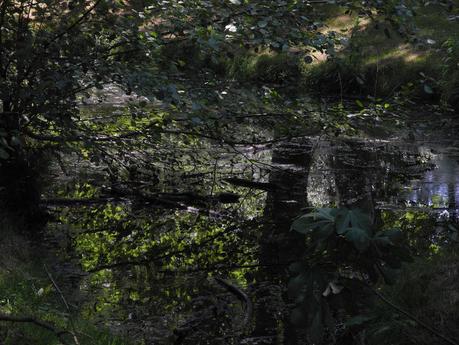 Oiseaux rivières, dans livre Marielle Macé, 