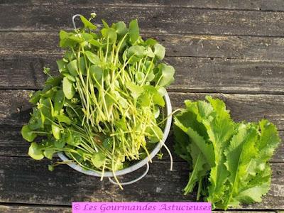 Soupe de fin de saison avec son topping épicé aux noix (Vegan) Soupe de fin de saison avec son topping épicé aux noix (Vegan)