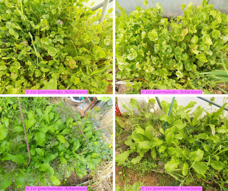 Soupe de fin de saison avec son topping épicé aux noix (Vegan) Soupe de fin de saison avec son topping épicé aux noix (Vegan)