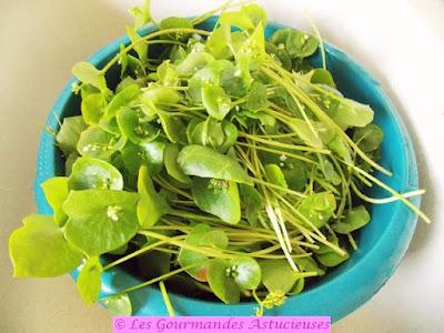 Soupe de fin de saison avec son topping épicé aux noix (Vegan) Soupe de fin de saison avec son topping épicé aux noix (Vegan)