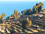 Découvrir Titicaca