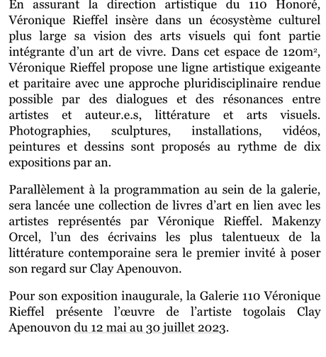 Une nouvelle Galerie : La galerie 110. Galerie Véronique Rieffel. Mai 2023.