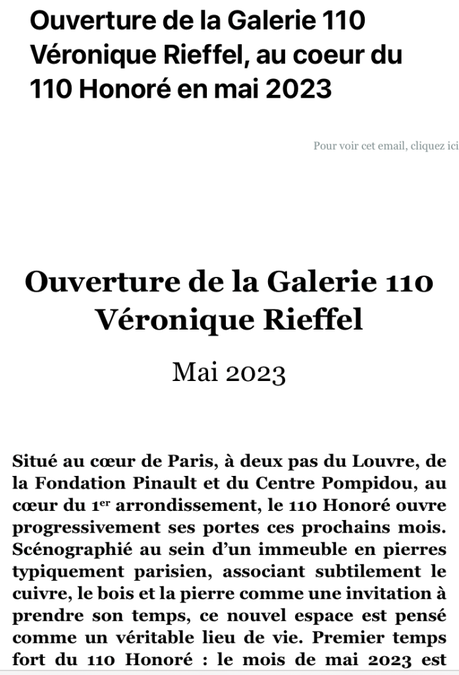 Une nouvelle Galerie : La galerie 110. Galerie Véronique Rieffel. Mai 2023.