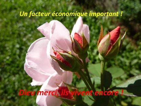 Divers - Le troisième âge