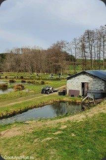 Soupe à l'ail des ours et truite fumée des Ardennes