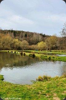 Soupe à l'ail des ours et truite fumée des Ardennes