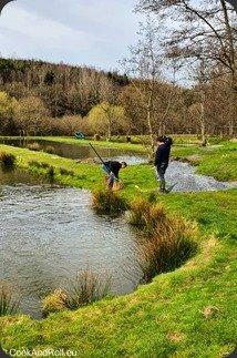 Soupe à l'ail des ours et truite fumée des Ardennes