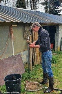 Soupe à l'ail des ours et truite fumée des Ardennes